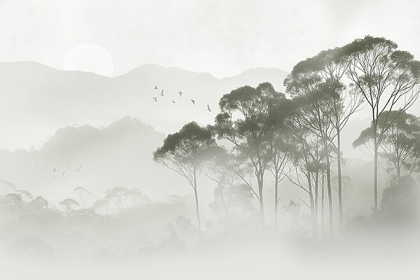 Birds flying over trees