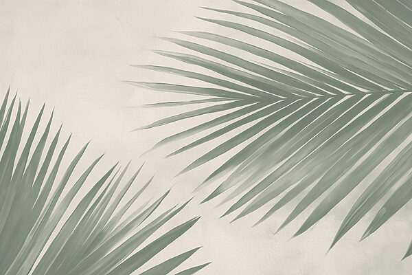 Fresh green palm leaves, nature's touch