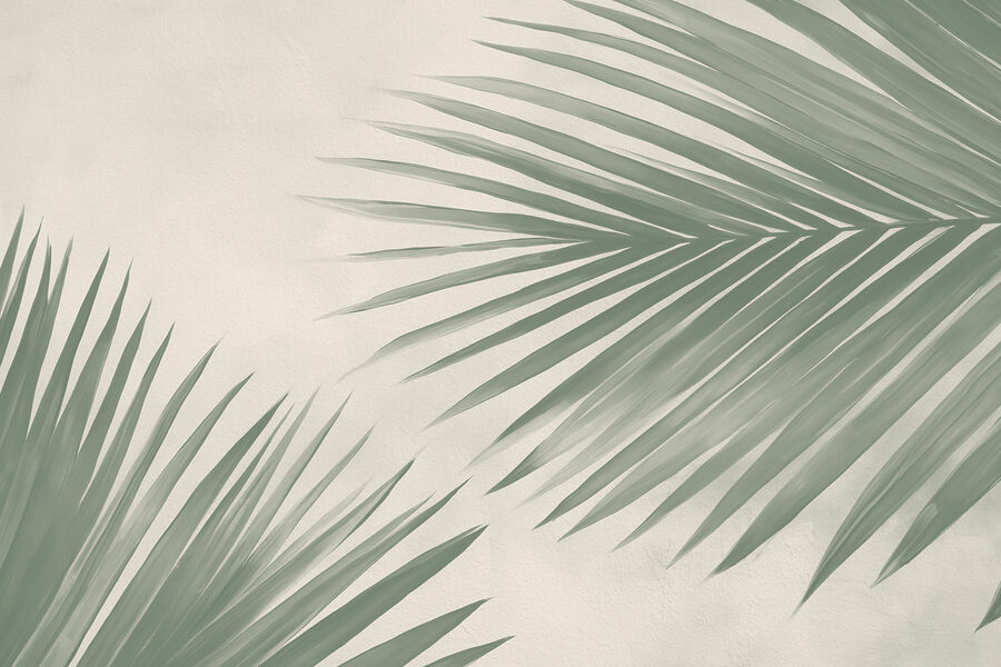 Wall murals Fresh green palm leaves, nature’s touch - Image 6