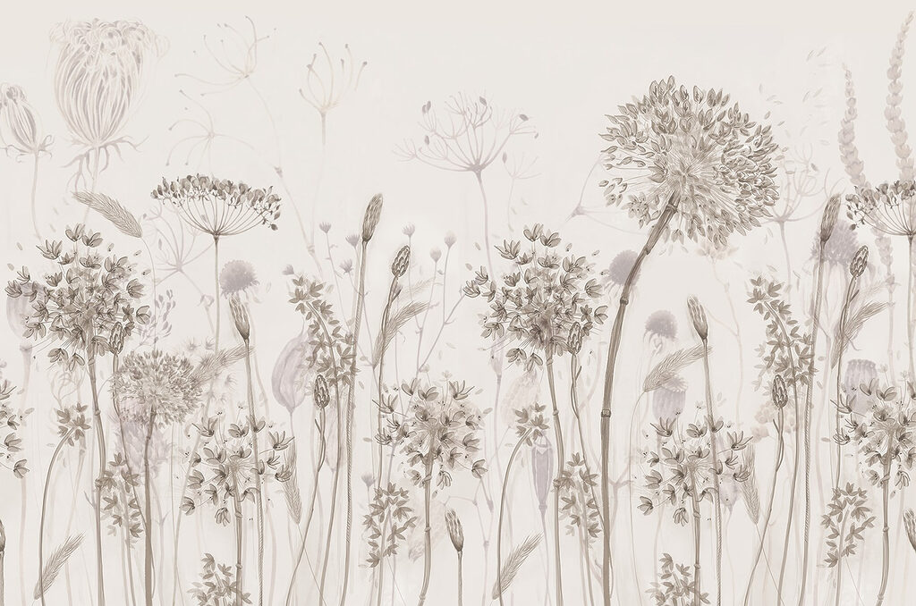 Drawing of flowers and plants Drawing of flowers and plants