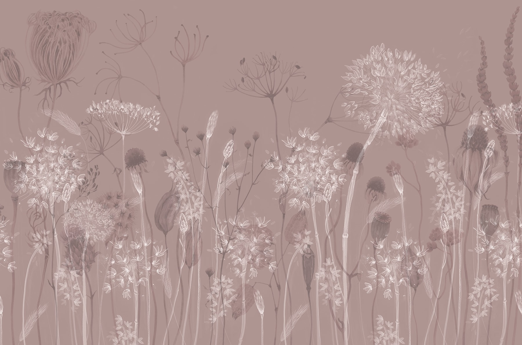 Soft flowers on a muted background Soft flowers on a muted background