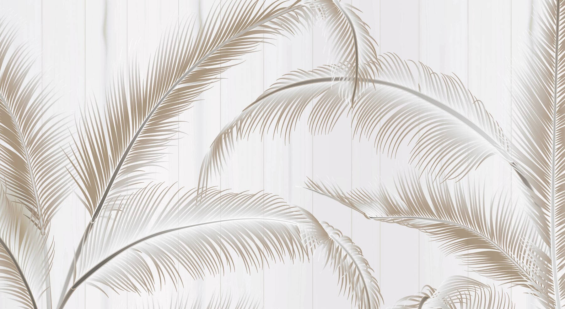 Elegant palm leaves on a light background