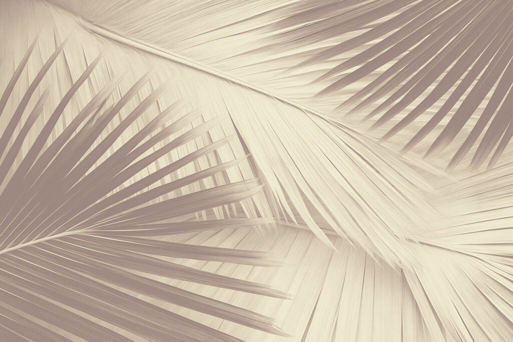 Nature’s texture in soft tones Nature’s texture in soft tones