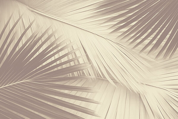 Nature's texture in soft tones Nature's texture in soft tones