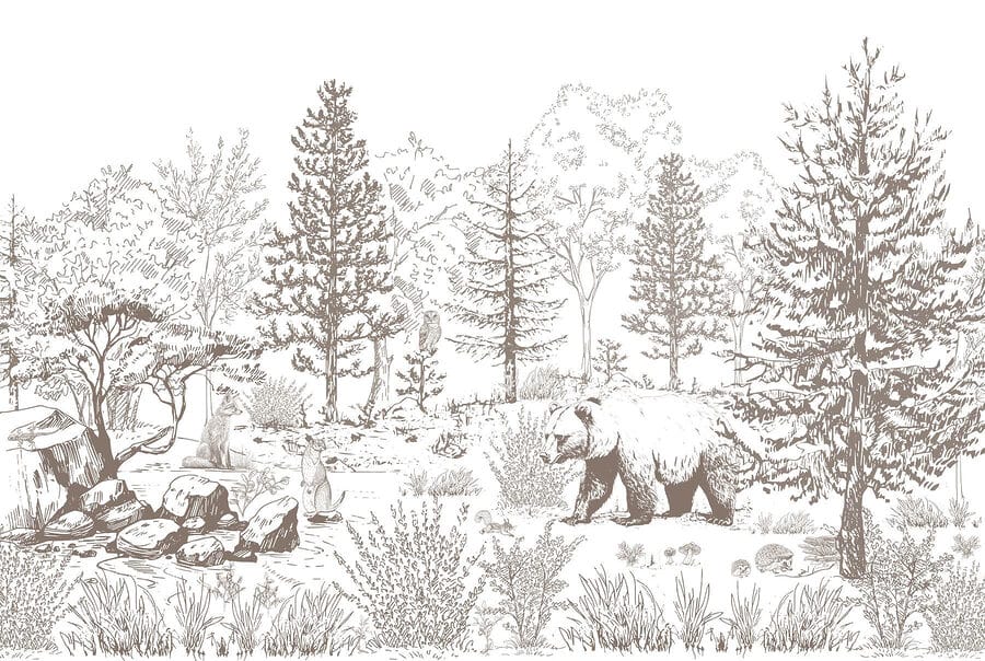 Bear walking in the woods Bear walking in the woods
