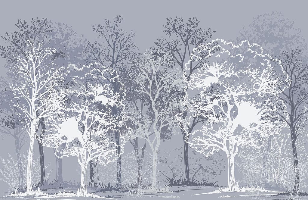 Group of trees in a forest Group of trees in a forest