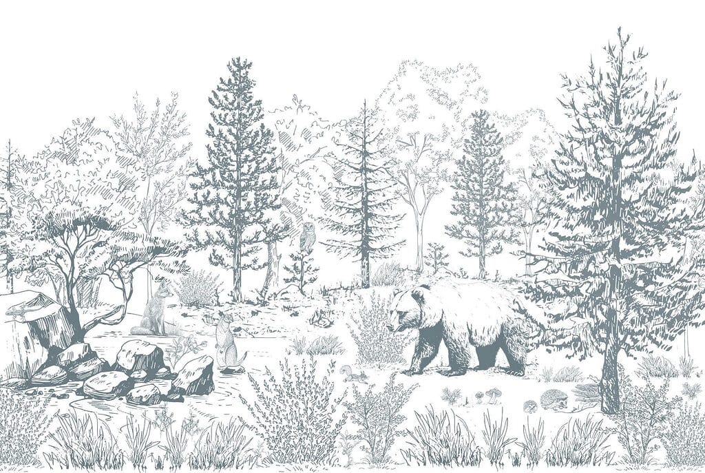 Bear in the woods Bear in the woods