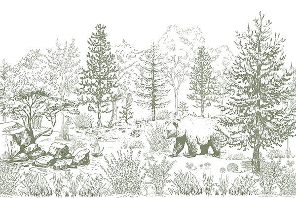 Drawing of a bear in a forest