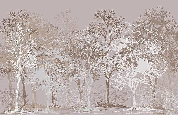 Group of trees in a forest Group of trees in a forest
