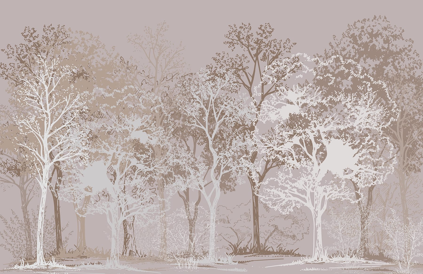 Group of trees in a forest