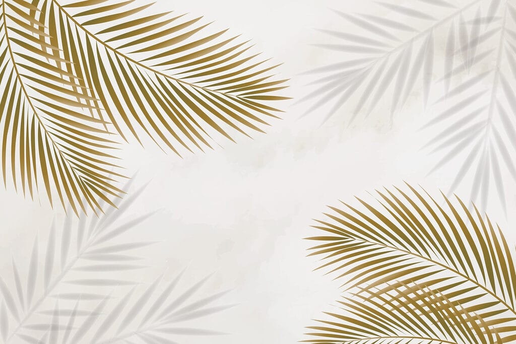 Group of leaves on a white background