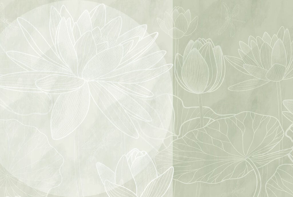 Soft outlines of tranquil water lilies Soft outlines of tranquil water lilies