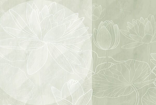 Soft outlines of tranquil water lilies Soft outlines of tranquil water lilies