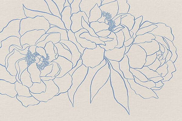 Drawing of flowers on a white surface Drawing of flowers on a white surface