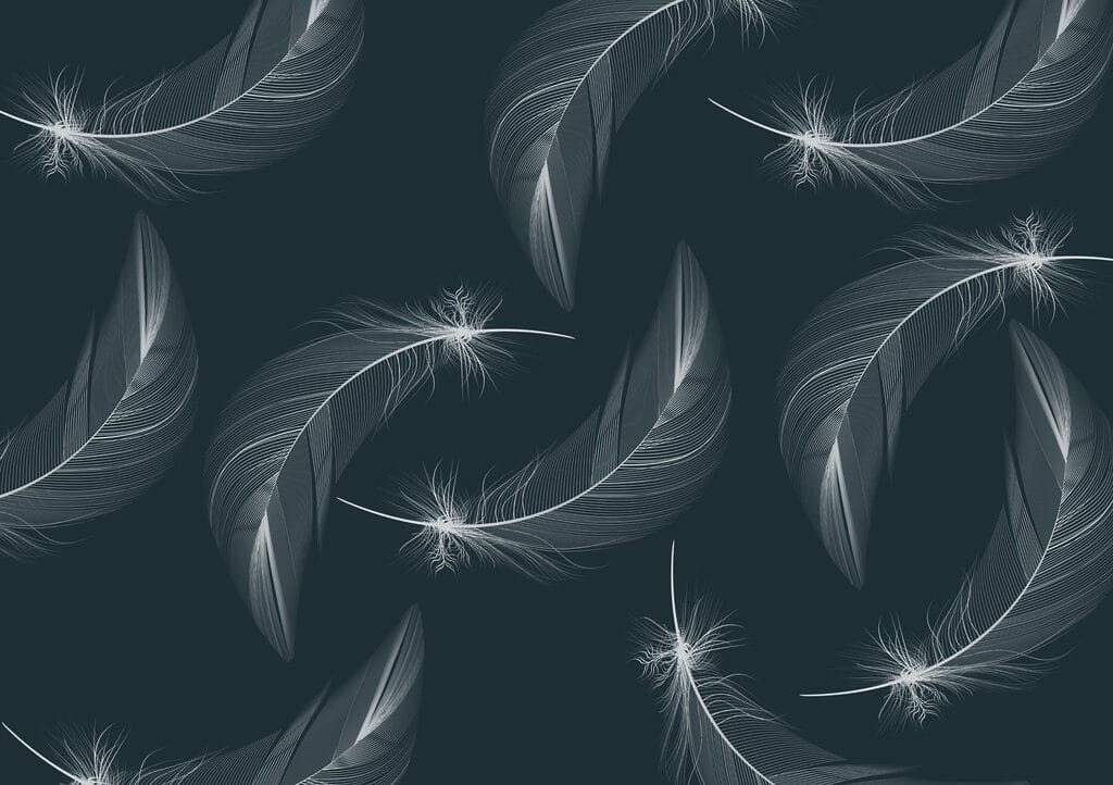Pattern of white feathers Pattern of white feathers