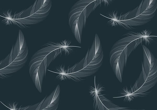 Pattern of white feathers Pattern of white feathers