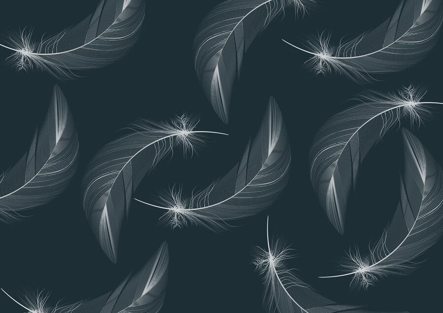 Pattern of white feathers Pattern of white feathers