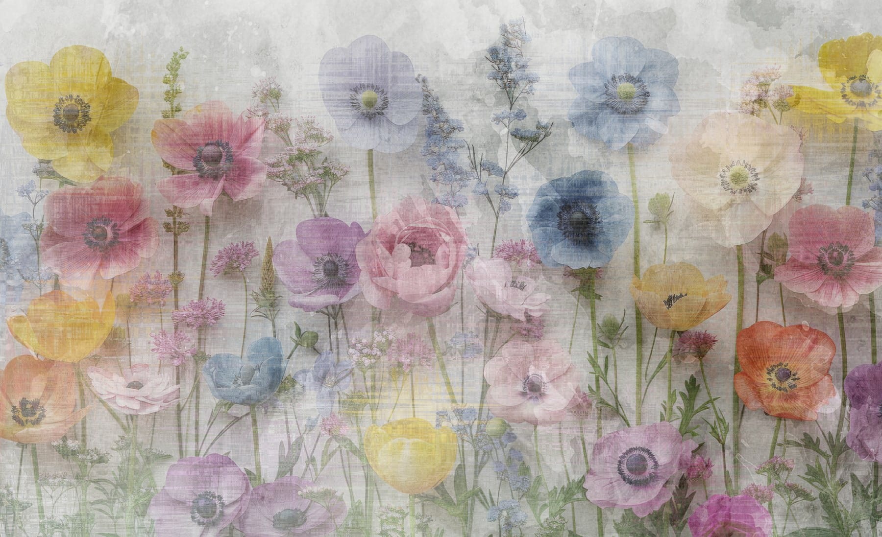 Group of flowers on a white background Group of flowers on a white background