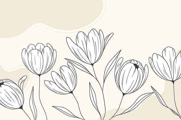 Line drawing of flowers Line drawing of flowers