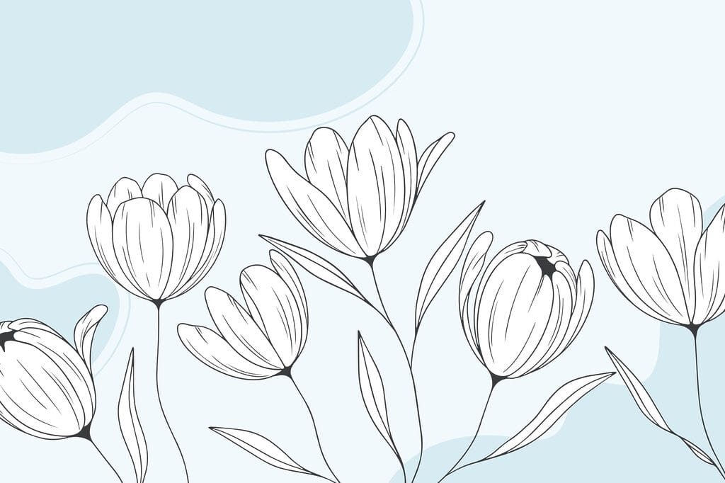 Line drawing of flowers Line drawing of flowers