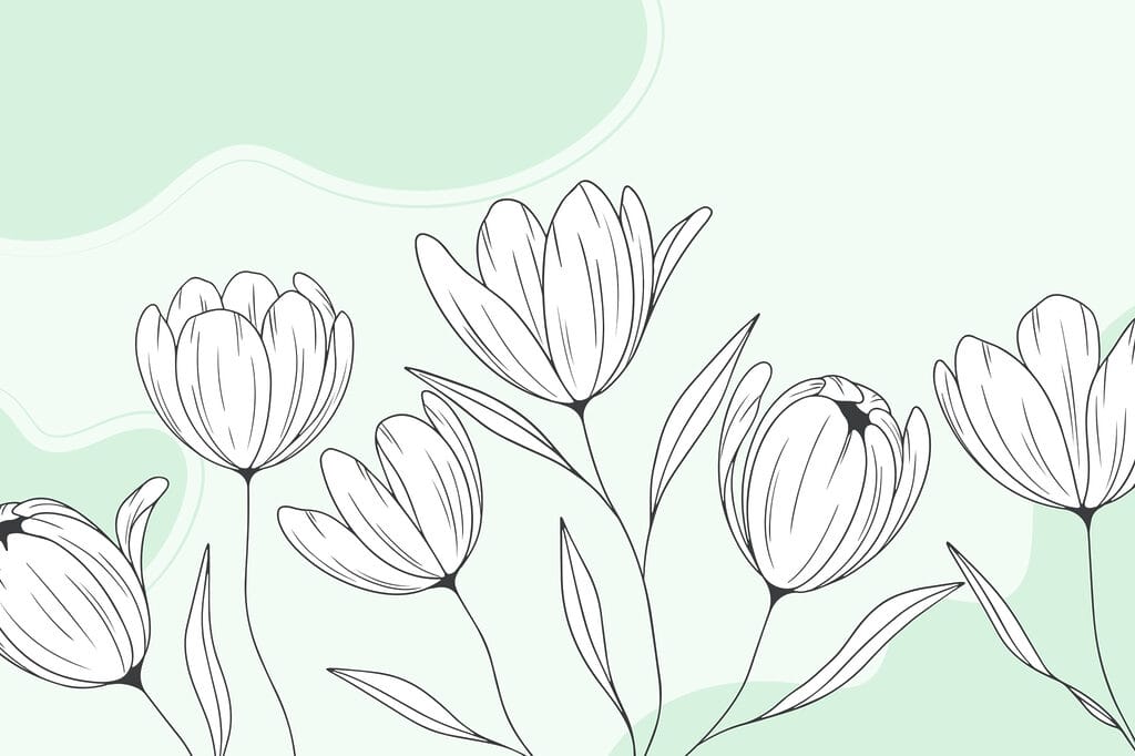 Line drawing of flowers Line drawing of flowers