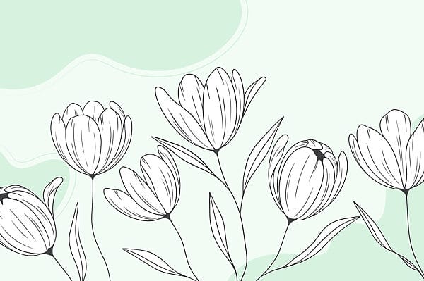 Line drawing of flowers Line drawing of flowers
