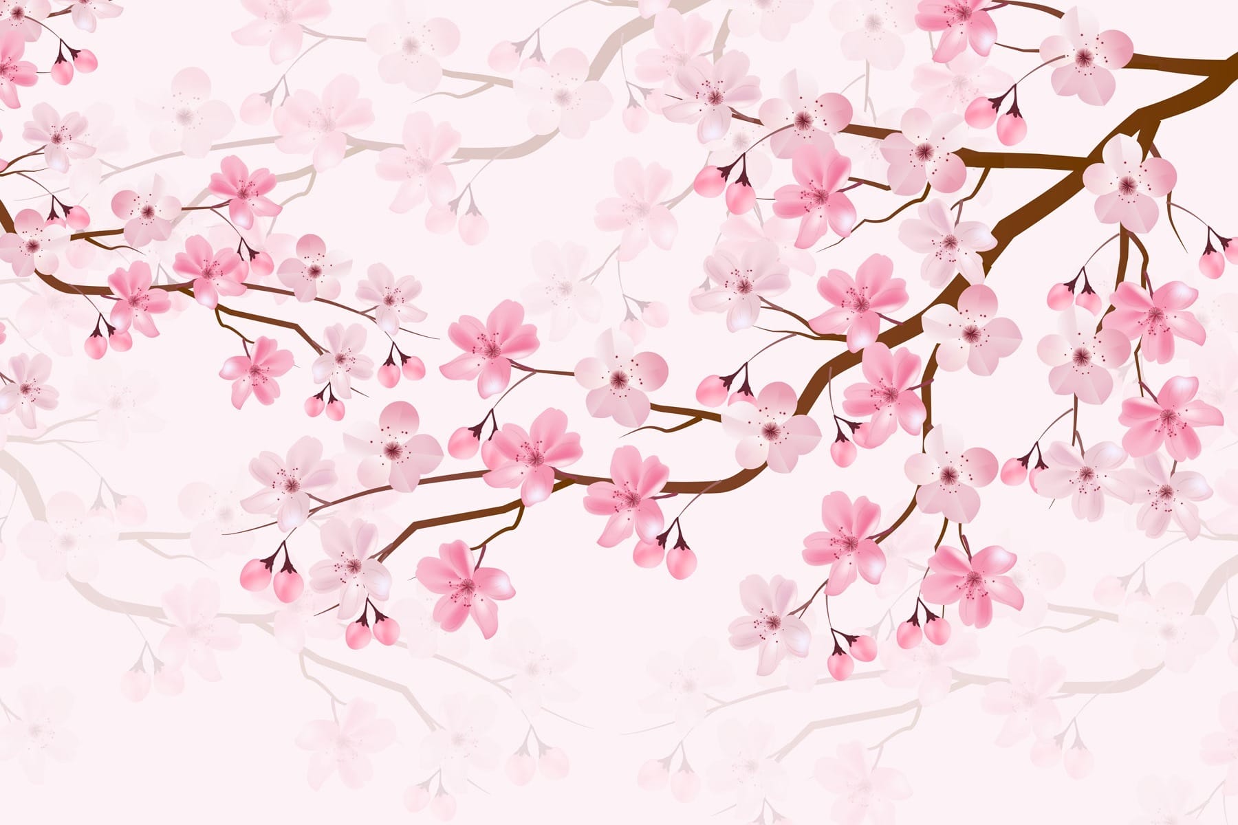 Pink flowers on a branch Pink flowers on a branch