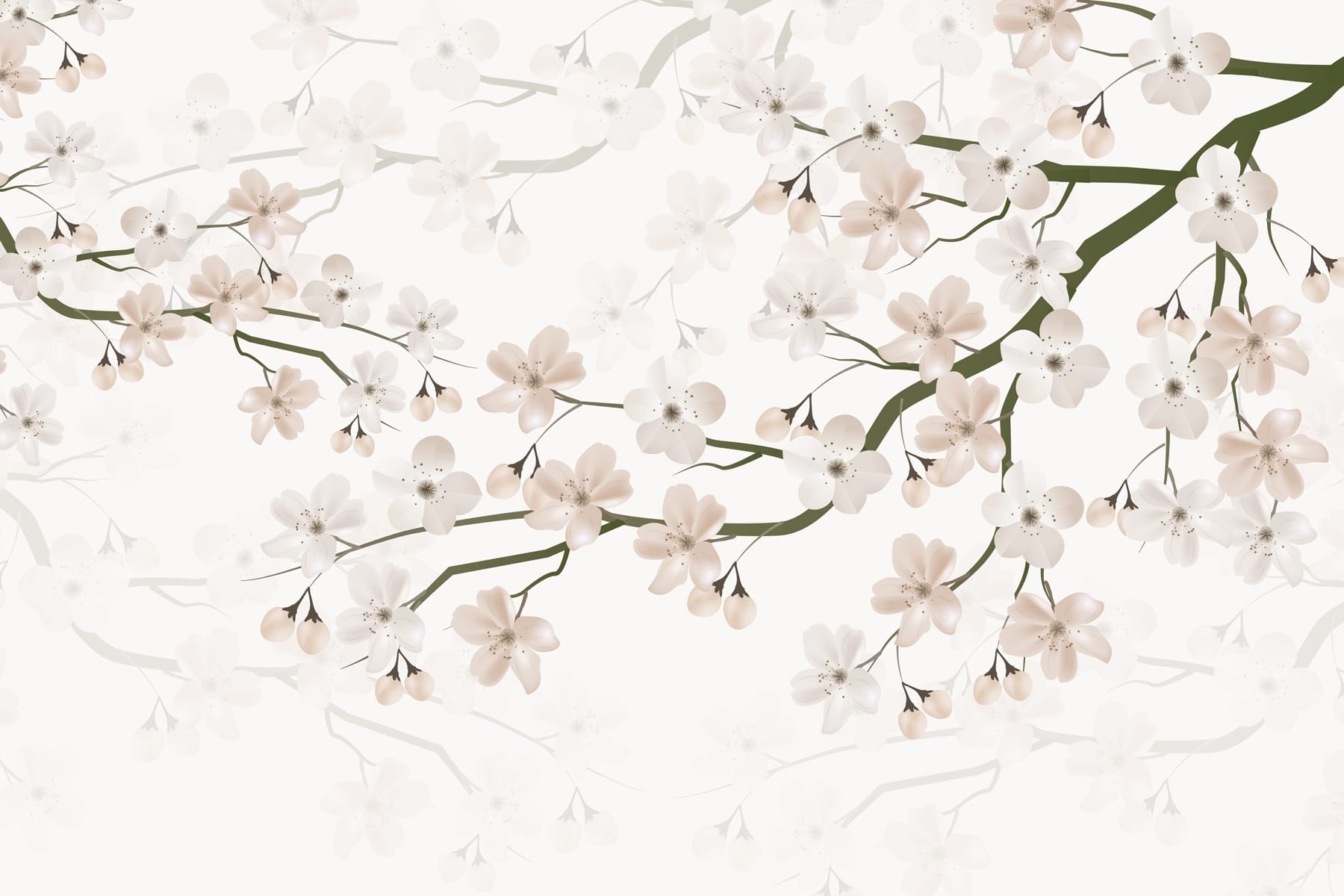 White flowers on a branch