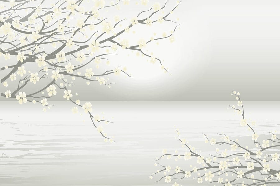 Tree with white flowers Tree with white flowers