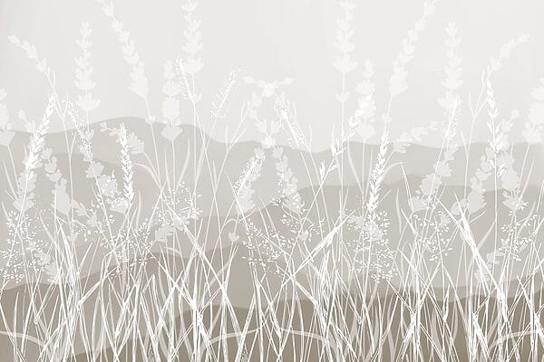 Field of grass with a mountain in the background