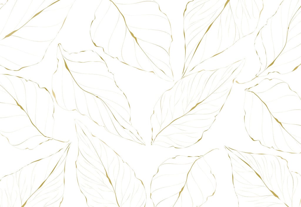 Pattern of leaves on a white background