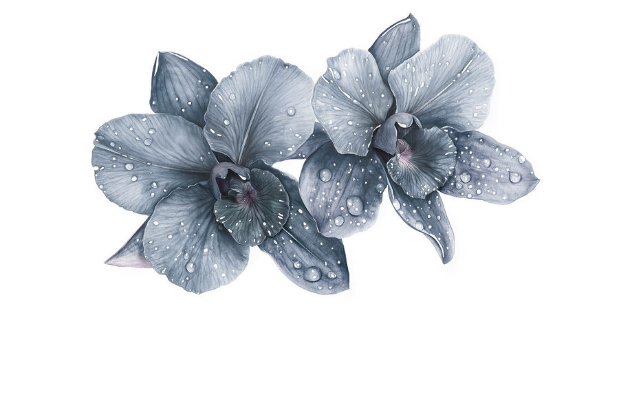 Delicate blooms with dew drops