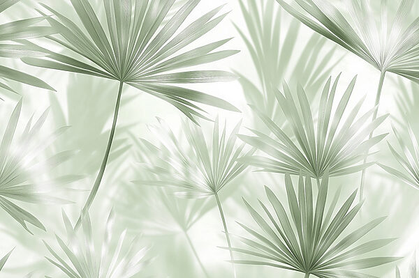 Soft green leaves dance in light Soft green leaves dance in light