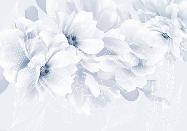 Soft petals in tranquil tones Soft petals in tranquil tones