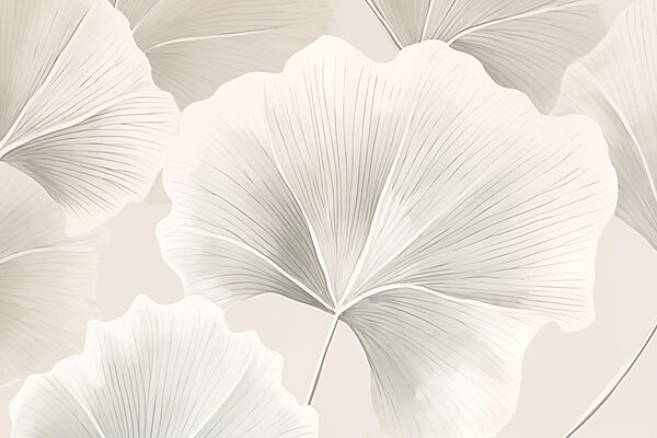 Delicate leaves in soft tones Delicate leaves in soft tones