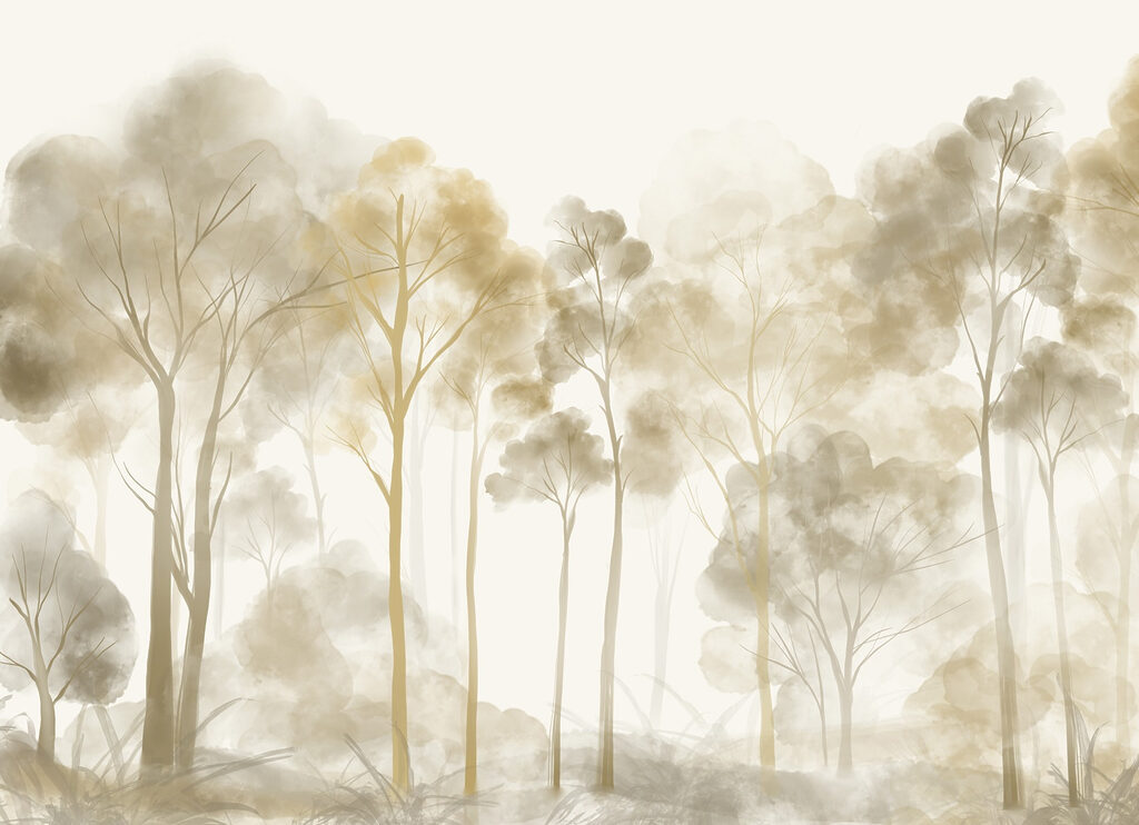 Group of trees in a foggy forest Group of trees in a foggy forest