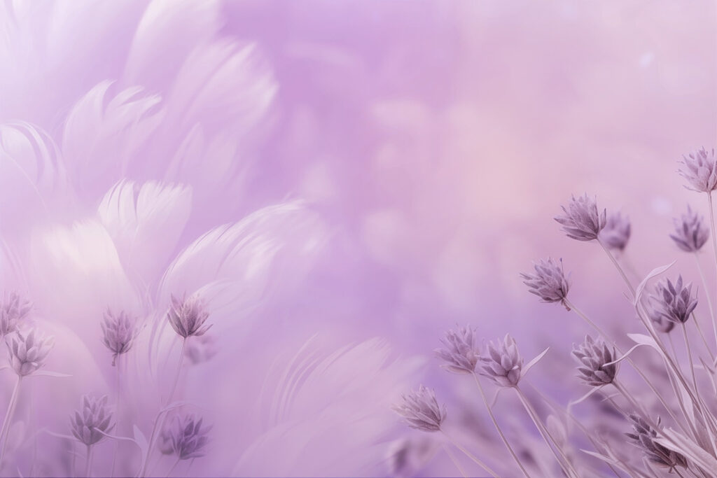 Soft petals in calming hues Soft petals in calming hues