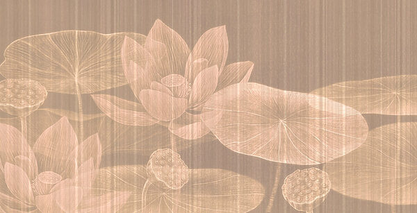 Faded beauty of water lilies Faded beauty of water lilies