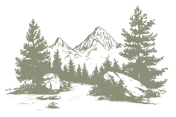 Drawing of trees and mountains Drawing of trees and mountains