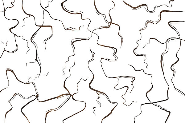 Curves and lines in contrast Curves and lines in contrast