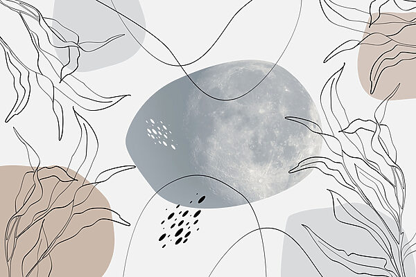 Moon and plants on a white background Moon and plants on a white background