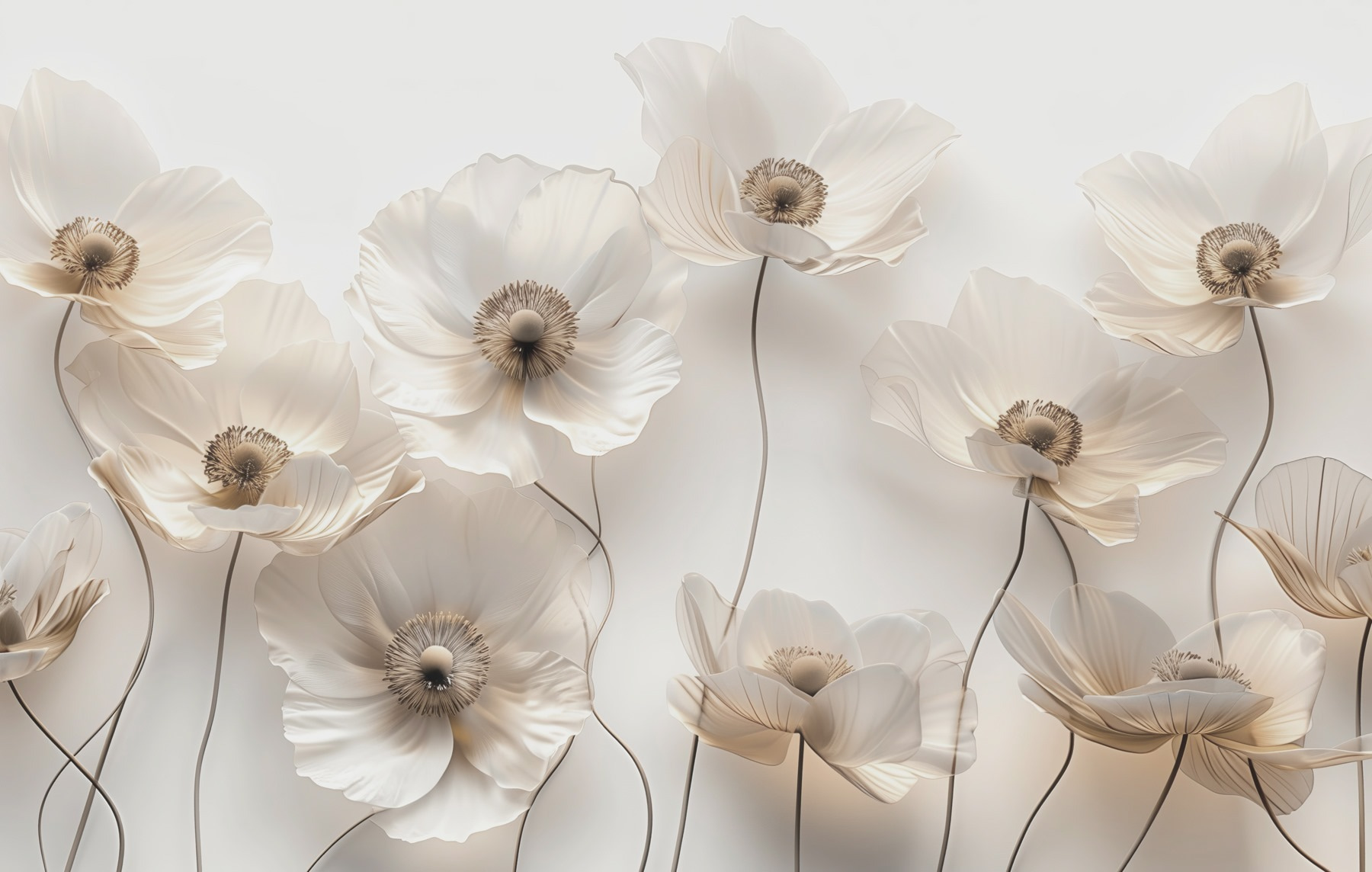 Group of white flowers Group of white flowers