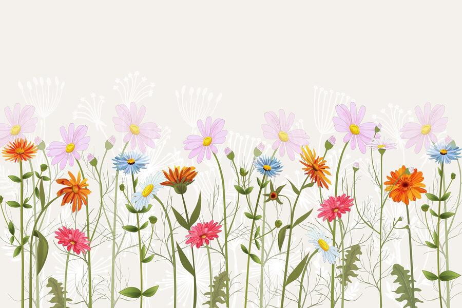 Wall murals Row of colorful flowers - Image 4