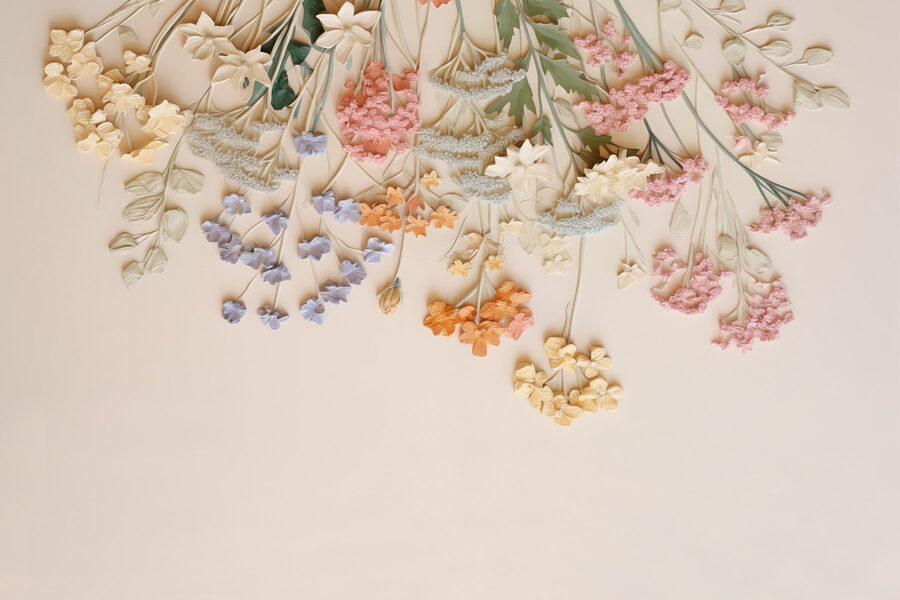 Group of flowers on a white surface Group of flowers on a white surface