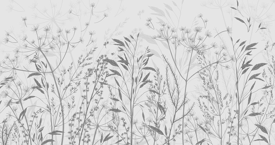 Delicate silhouettes of nature’s beauty
