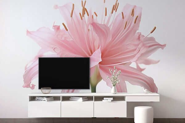 Delicate petals unfold gracefully Delicate petals unfold gracefully