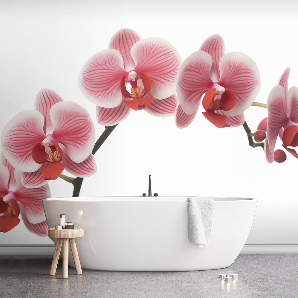 Delicate orchids in gentle bloom