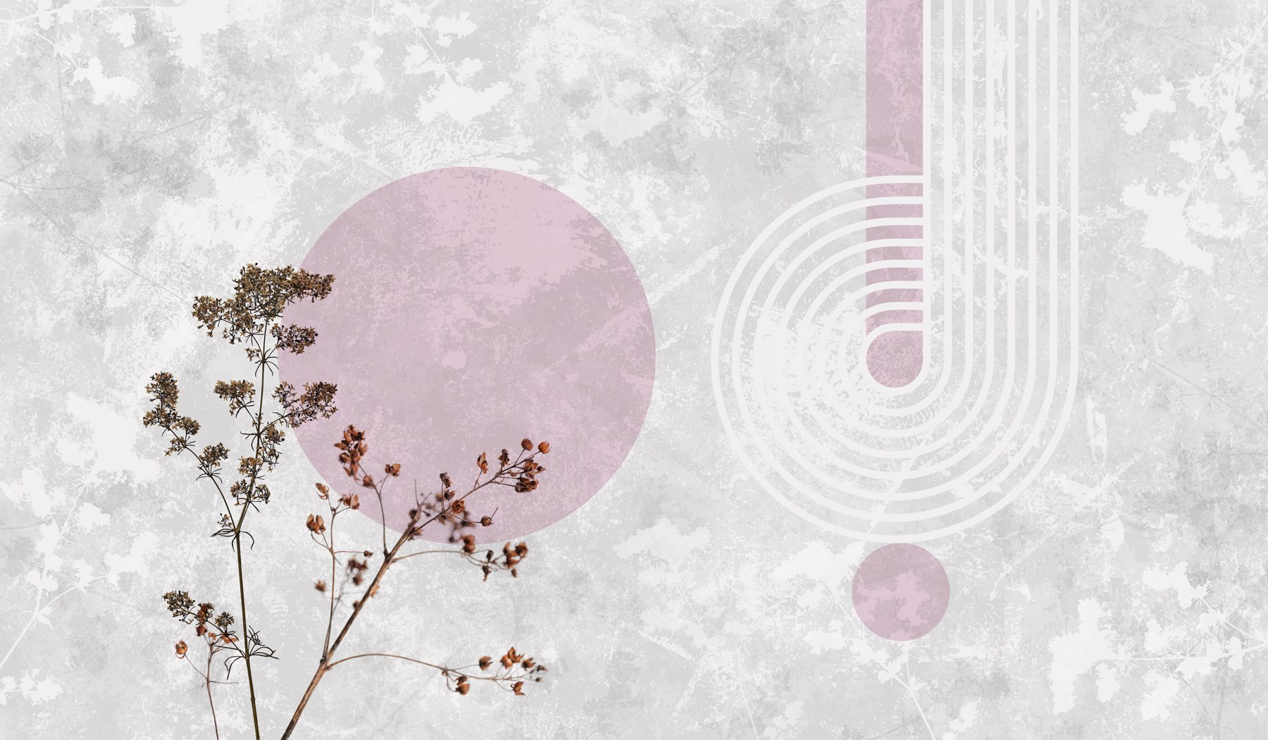 Plant with brown leaves and purple circles