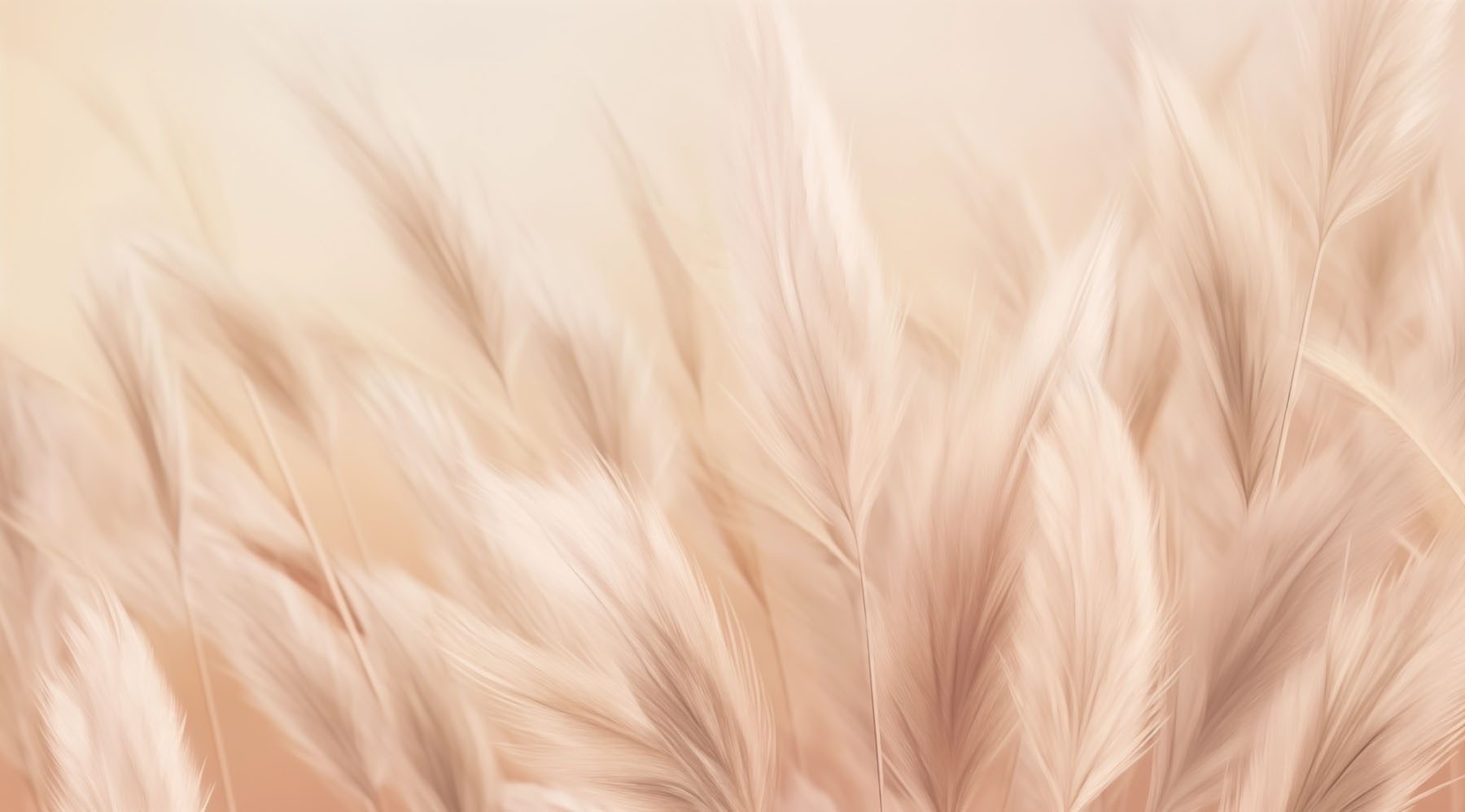 Gentle waves of soft feathers