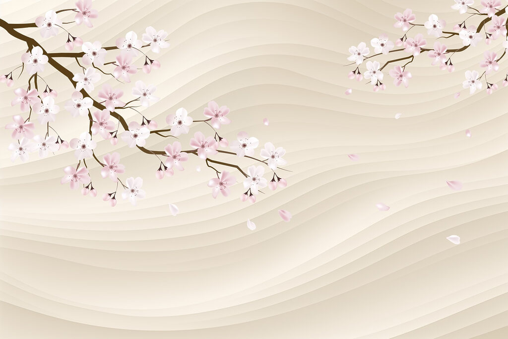 Tree branch with white and pink flowers Tree branch with white and pink flowers